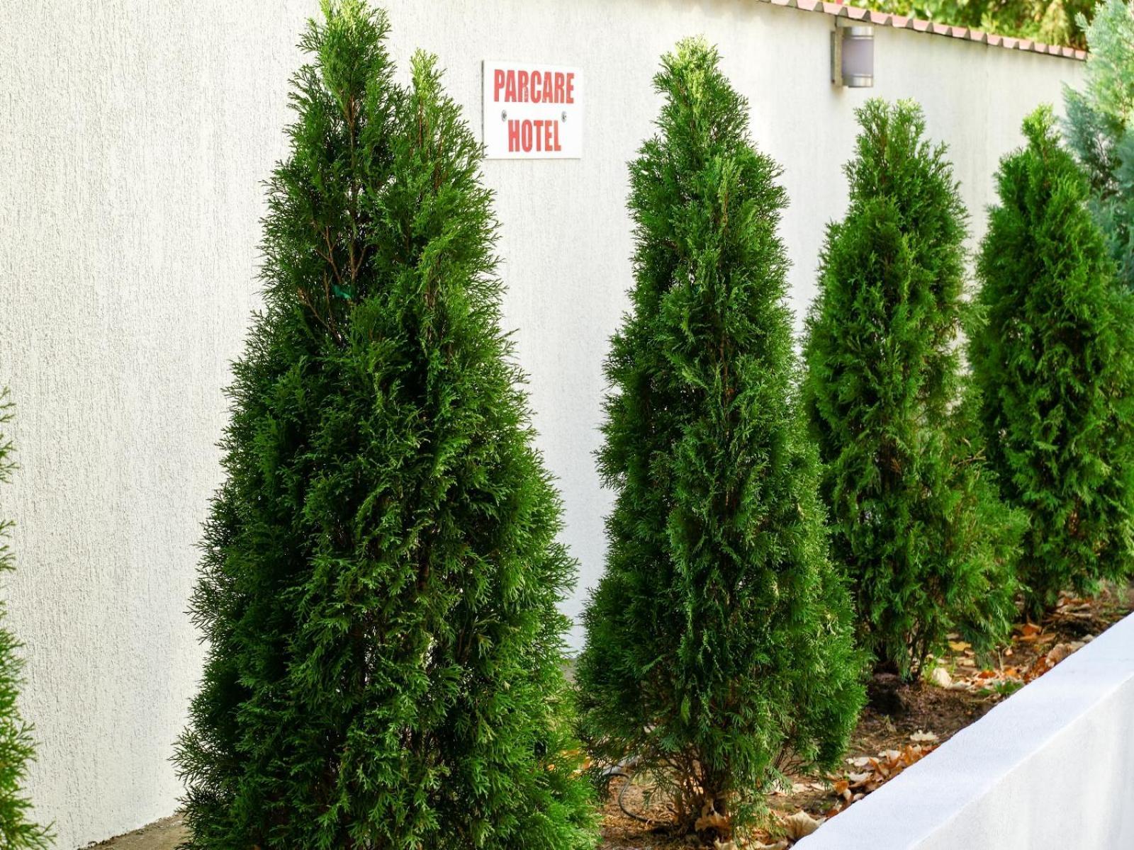 Criss Hotel Bucarest